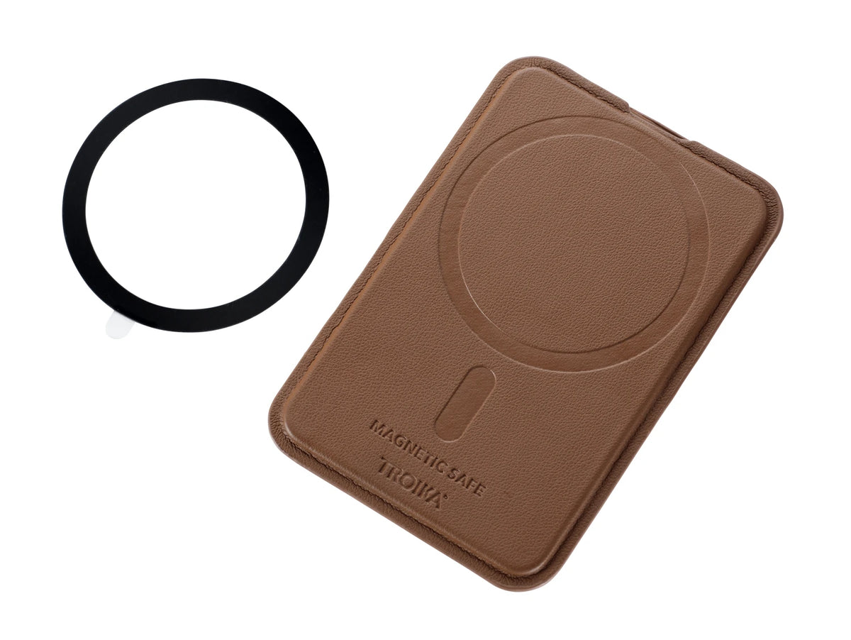 MAGNETIC SAFE